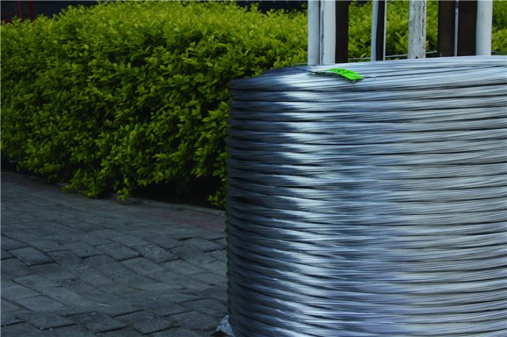 Electro Galvanized Wrie